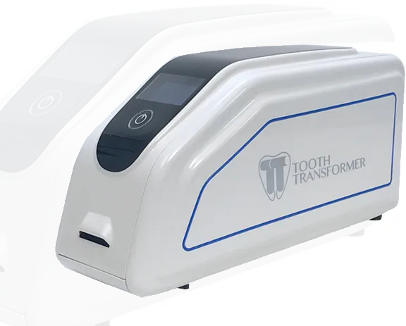 Tooth Transformer