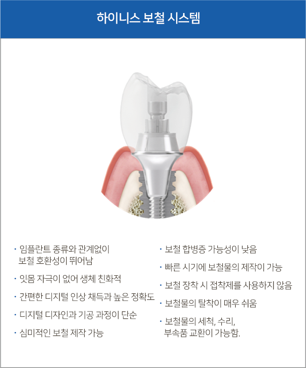 하이니스 보철 시스템