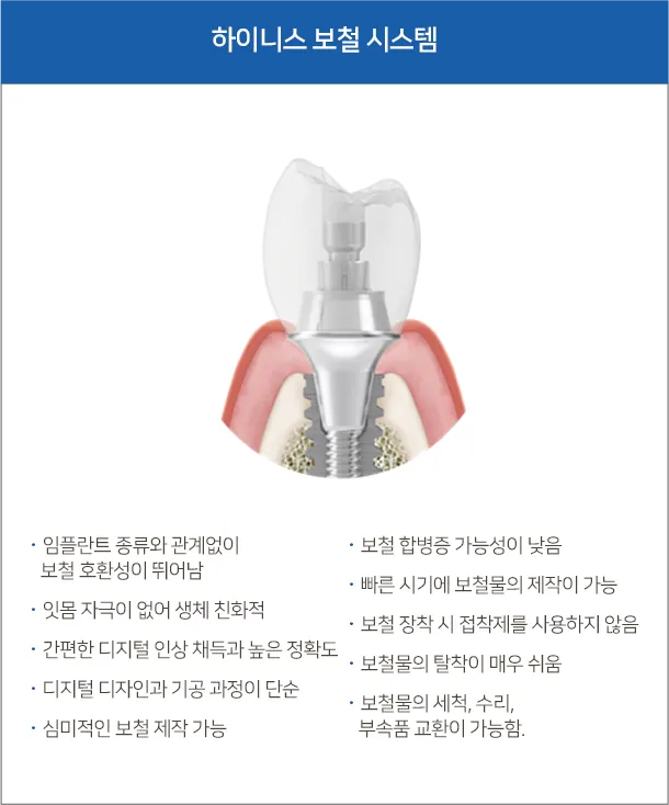 하이니스 보철 시스템