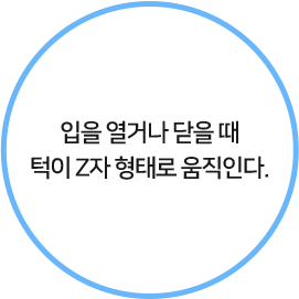 입을 열거나 닫을 때 턱이 Z자 형태로 움직인다.