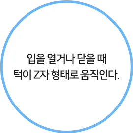 입을 열거나 닫을 때 턱이 Z자 형태로 움직인다.